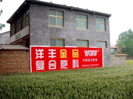 礼泉如何让墙体广告展现最大化效果