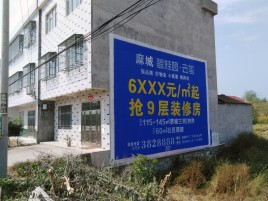 礼泉墙体广告质量分析