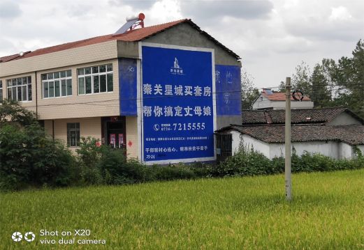 礼泉决定墙体广告价格的因素有哪些？