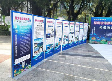 礼泉KT板的种类和知识。